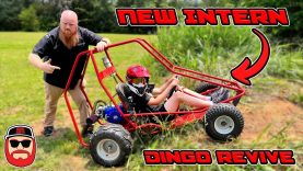 We Got A New Intern and he fixes up a Dingo! ~ Kids yard go-kart